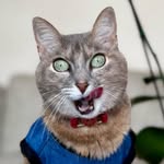 𝐆 𝐀 𝐋 𝐀 🇵🇪