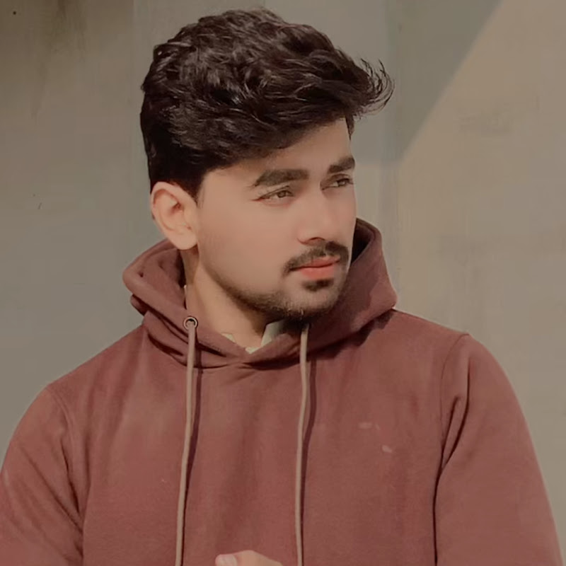 Jawad A Malik