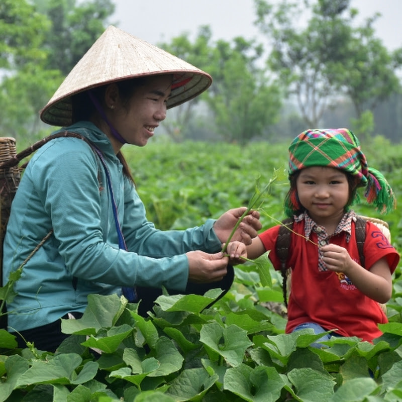 Lý Bình An