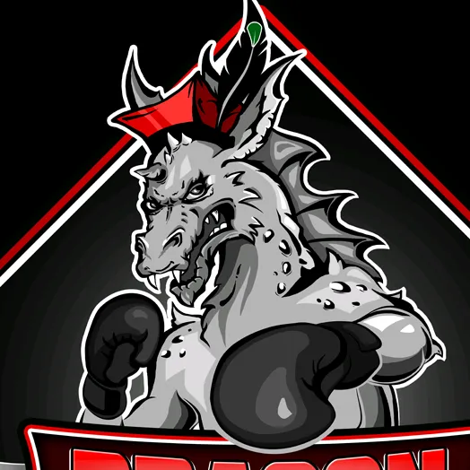 Dragon Kraków Paraboxing