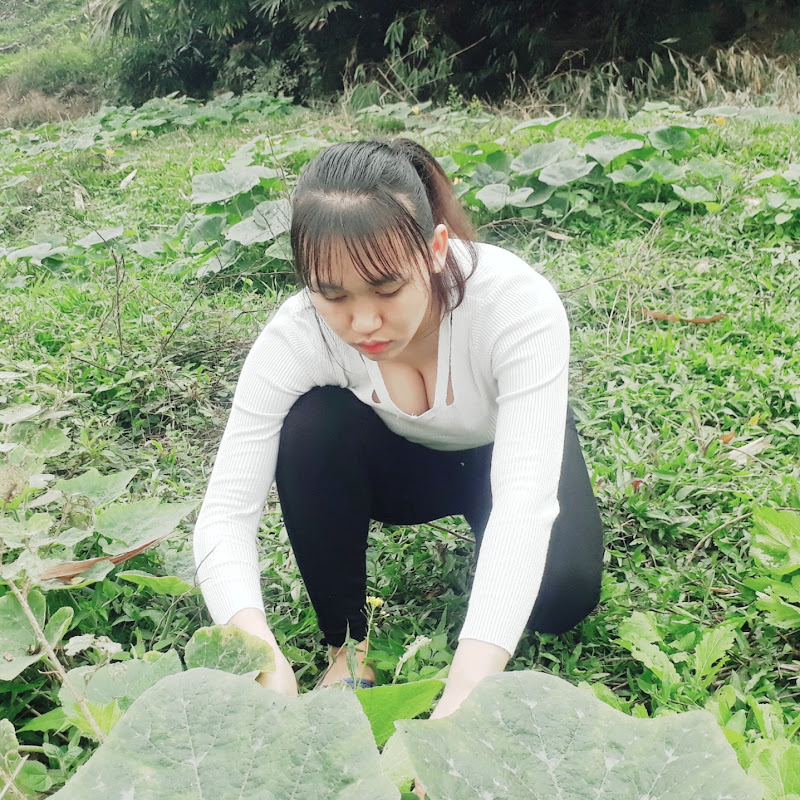 Lan's busy life - live with nature