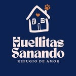 Huellitas Sanando ❤️‍🩹🐾  | Adopciones