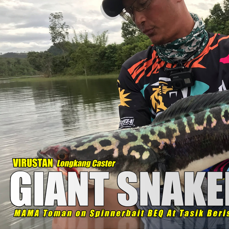 Virustan Longkang Caster