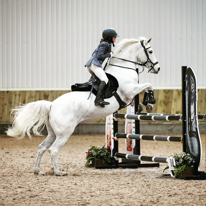 Lucie Jumps