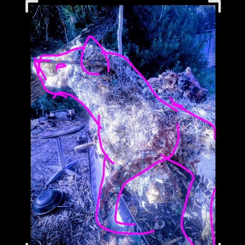 Hyaenic Audit Protocols  Post-Nietzsche