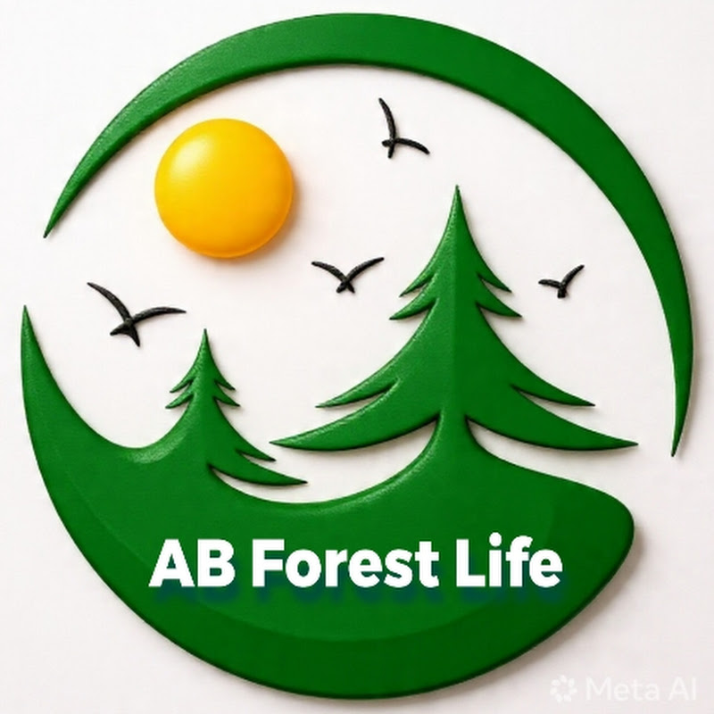 A B Forest Life