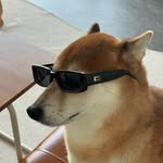 ㅎaㅊi‘s hㅇm3  ハチの家