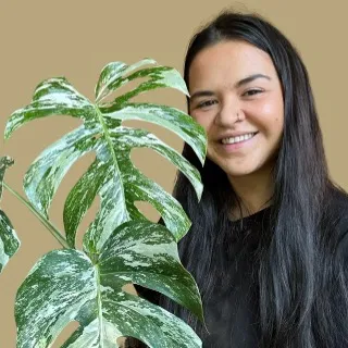 lunaleafhome