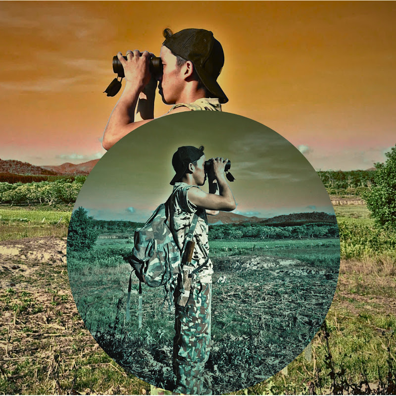 Sinh's Jungle
