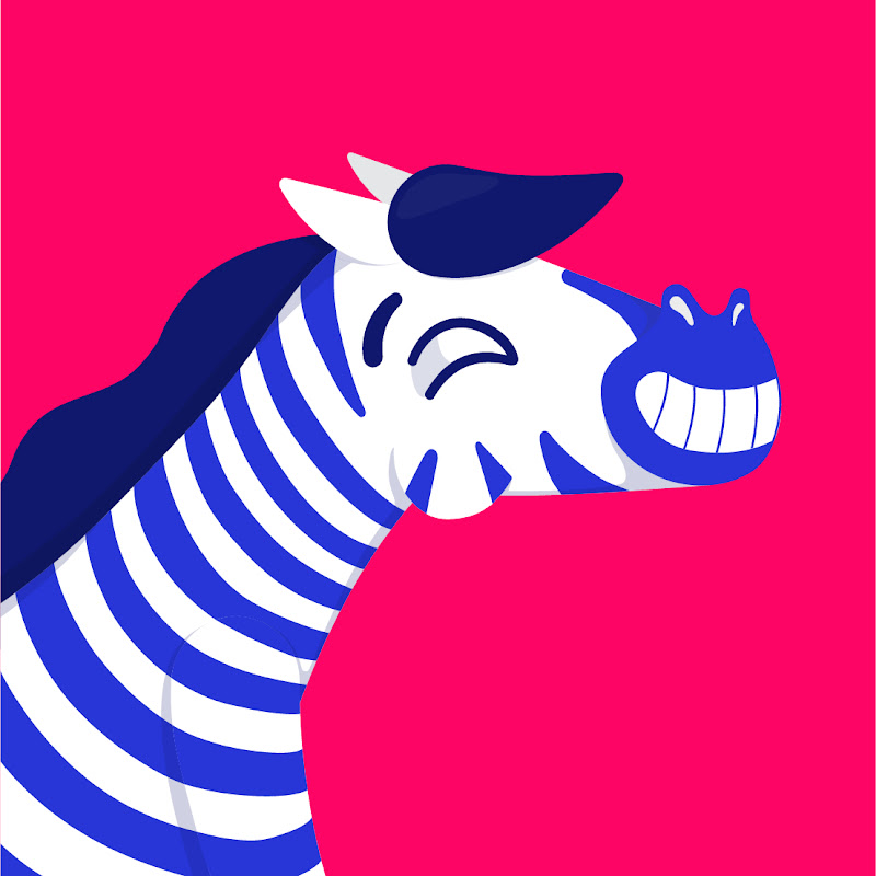 Zebra Fisgona Tours