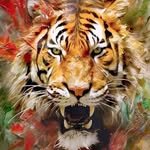 contemprorary_art
