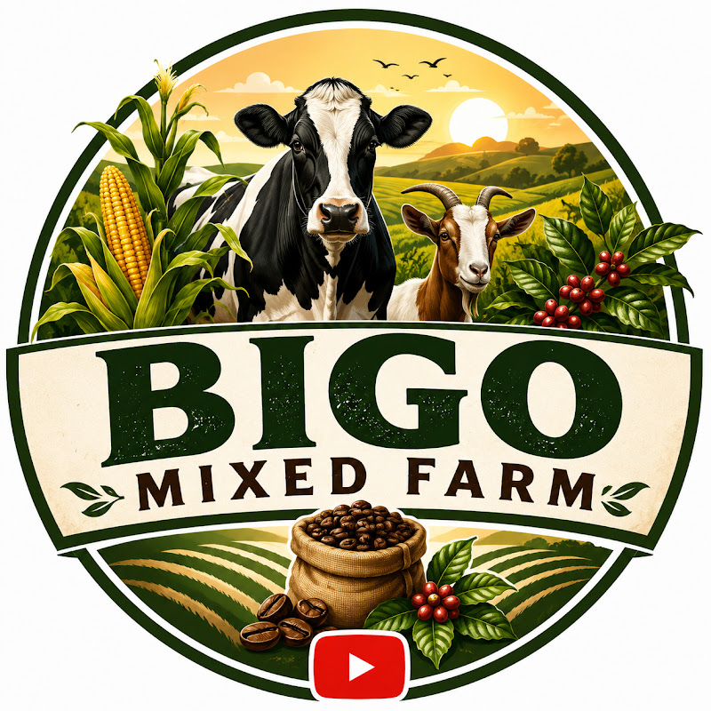 BIGO MIXED FARM