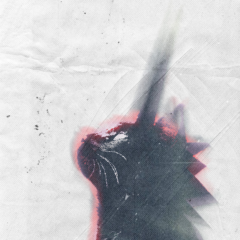Ty.graphic