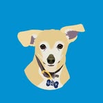LUCY PET
