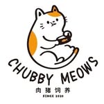 Chubby Meows Cat Hotel