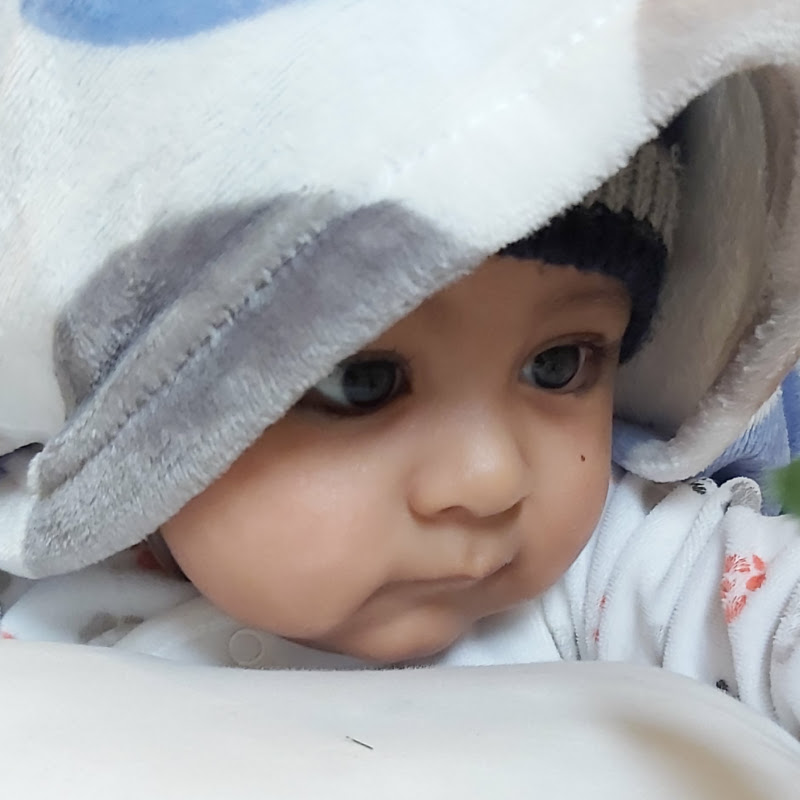 Zayan's Diary