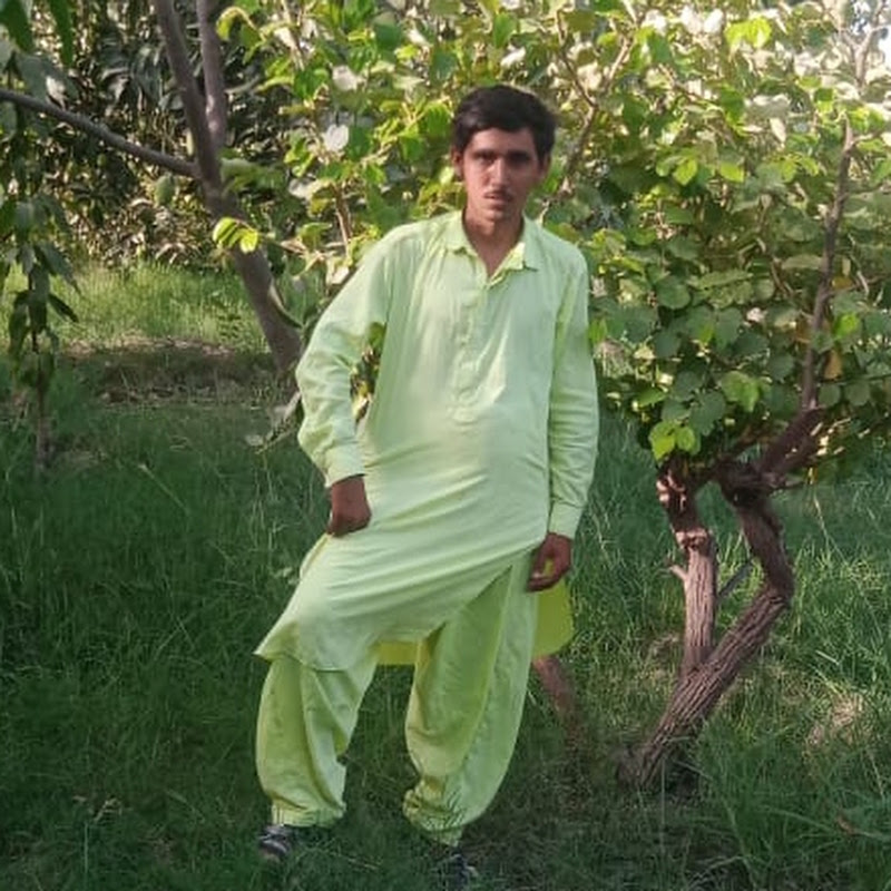 Waqar ali Bozdar