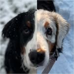 Fanny👼🏼 Cleo 🐣& Leonie👱🏼‍♀️