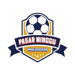Pasar Minggu Mini Soccer