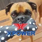 XPOWER Pet Dryers Australia