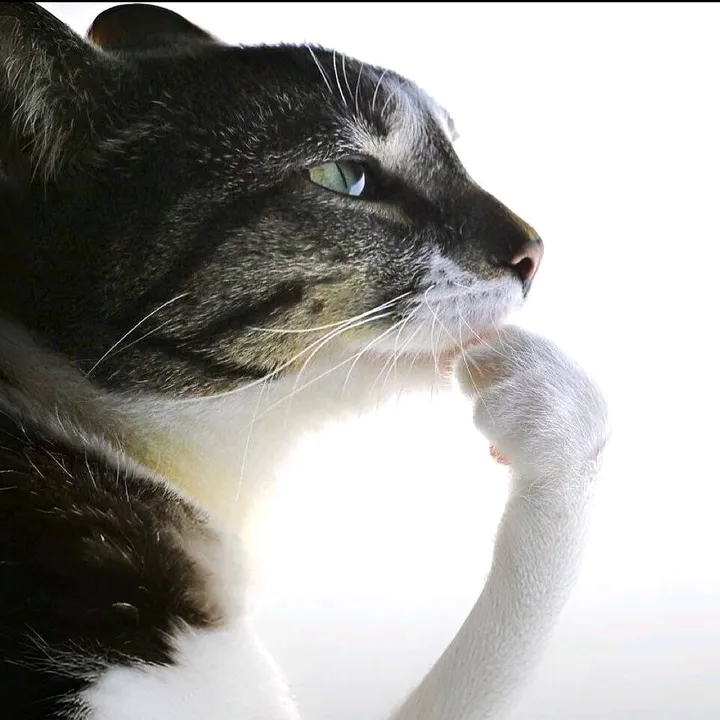 Rob