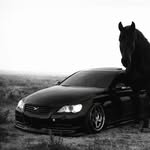 𝐋𝐚𝐰𝐥𝐞𝐬𝐬 𝐣𝐝𝐦 𝐨𝐟𝐟𝐢𝐜𝐢𝐚𝐥