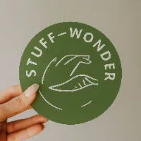 Stuff_wonder