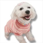 ⋆ 𝑳𝒖𝒏𝒂 ☾⋆ ルナ