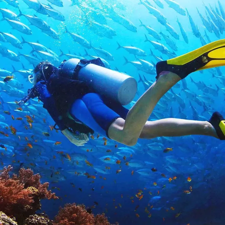 Passion for scuba diving