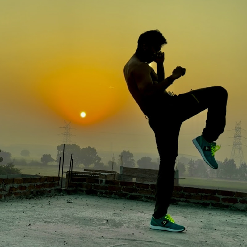 THE KONG - lions den 