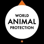 World Animal Protection AU