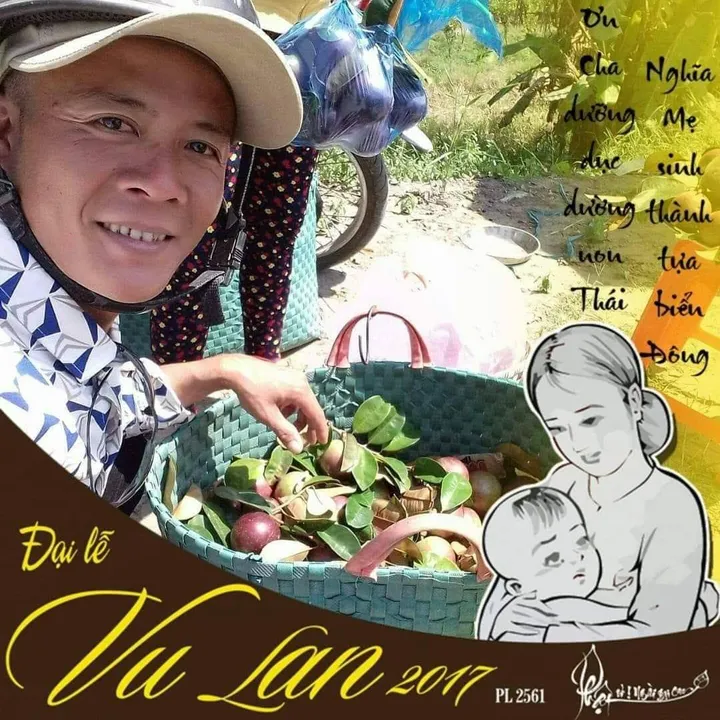 KÊNH NHẠC VÀNG⚡