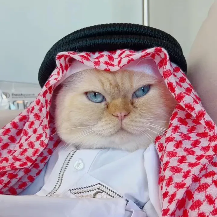 Ibrahim😻Marius