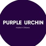 Purple Urchin
