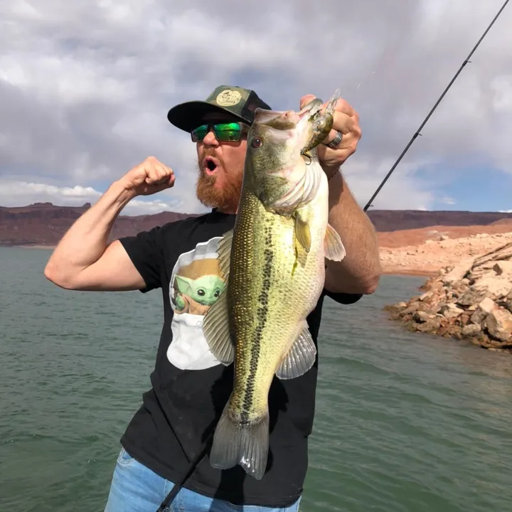 Kraken Bass - Pro Bass Guide