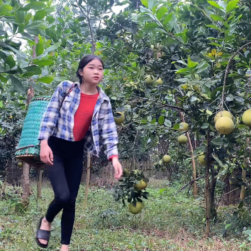 countryside gilrd CC