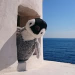 Pingu