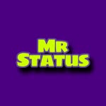 Mr.Status
