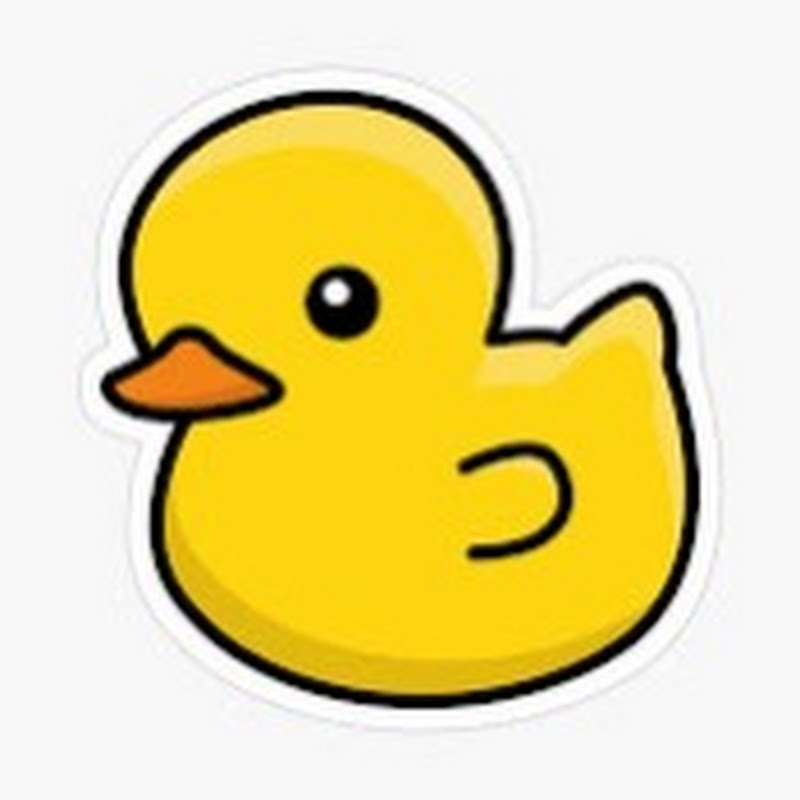 Ducks