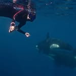 Rung Ocean Pavarodom / Berunga