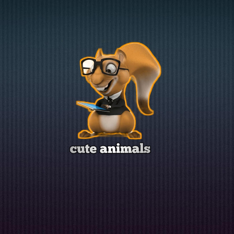 Cute Animals