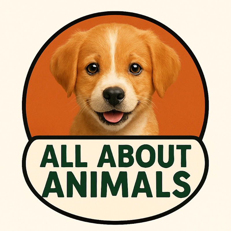 All About Animals