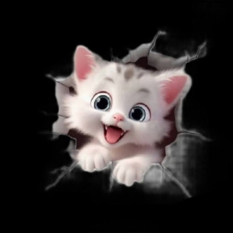 Cat Stories