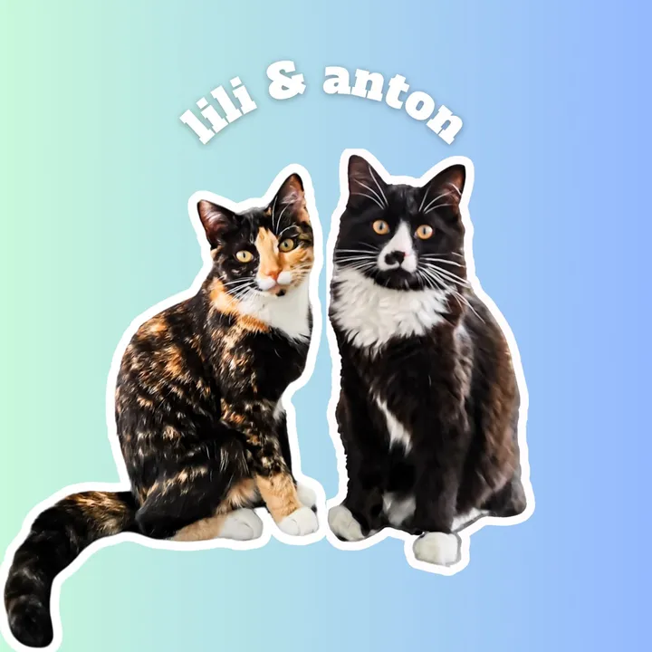 Lili & Anton 🐱