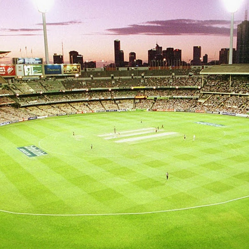 Lachlan Patterson Cricket 