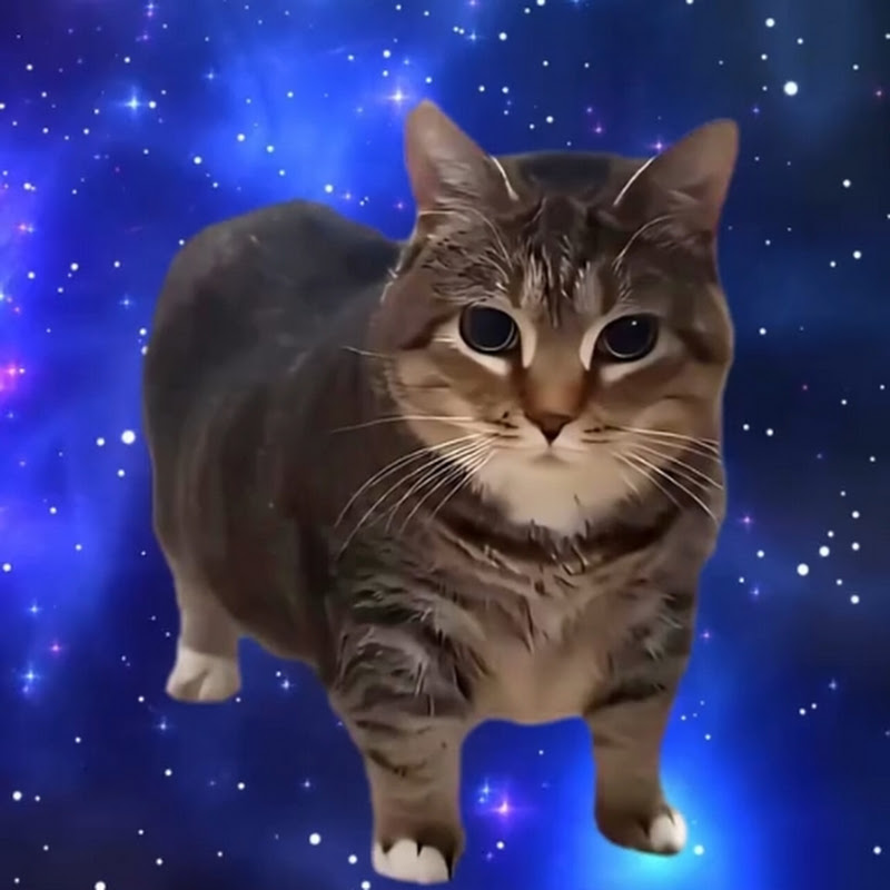 Oia pussy 