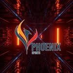 Phoenix Sports