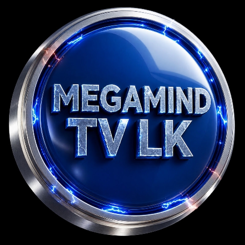 megamind tv