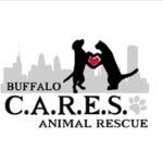 Buffalo CARES Animal Rescue