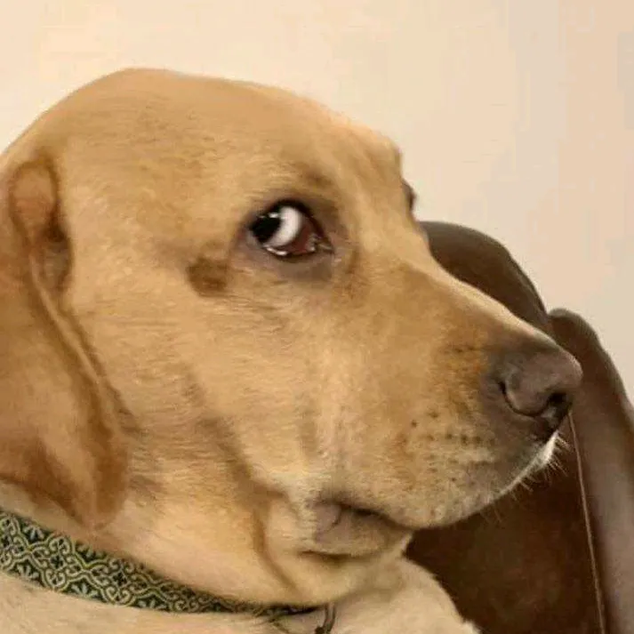 Teagan